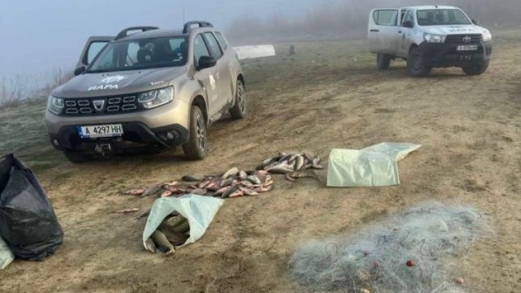Заловиха бракониер с близо 70 кг риба на язовир &bdquo;Цонево&ldquo;