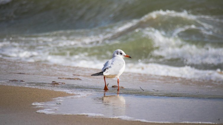 Времето във Варна днес: Започва застудяване