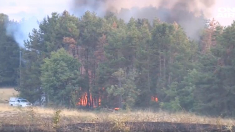 Нови пожари избухнаха в Асеновградско