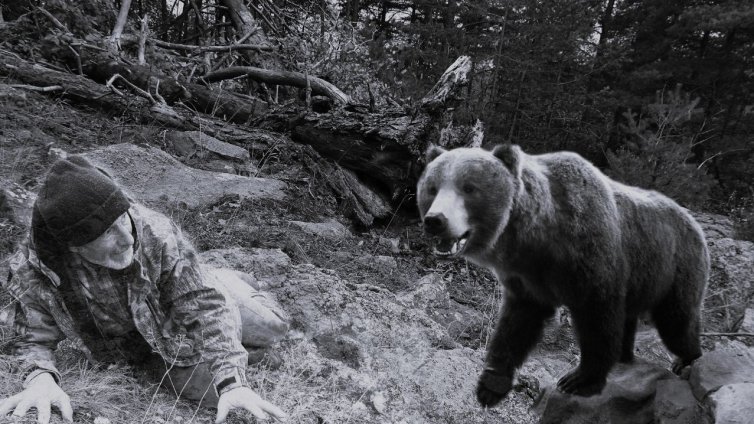 Как да реагираме при среща с мечка?