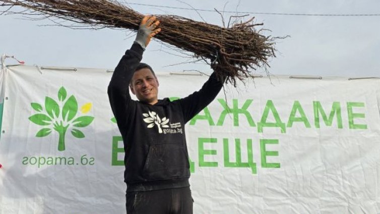 Подаряват 30 000 дръвчета за засаждане на варненци