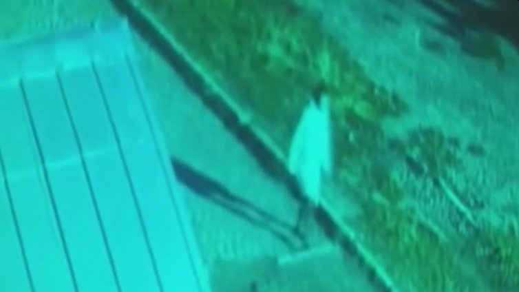 Вижте ВИДЕОТО, запечатало Стефани за последно