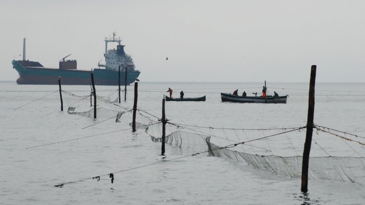 Чернокоп, сафрид и барбун хит в морето край Варна