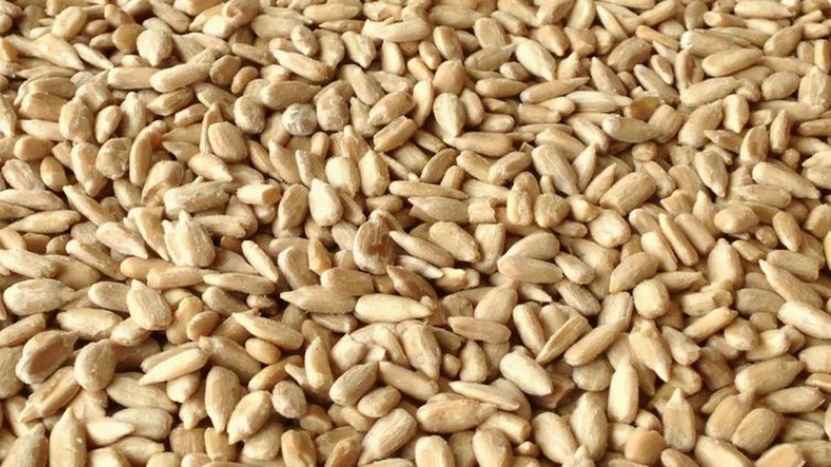 България е №1 по износ на брашно от слънчоглед