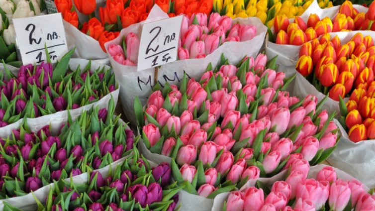 До 100 лв. излиза 8 март за мъжете: Цветя, бижута, шоколади...