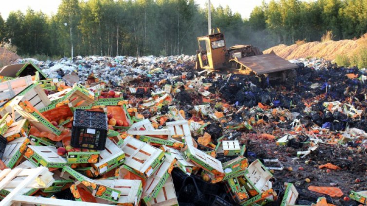 Русия е унищожила над 800 т храни от ЕС