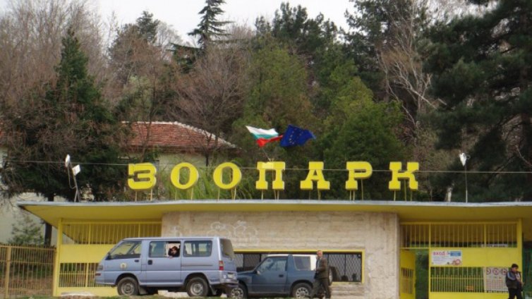 Вълк избяга от клетката си в зоопарка в Благоевград