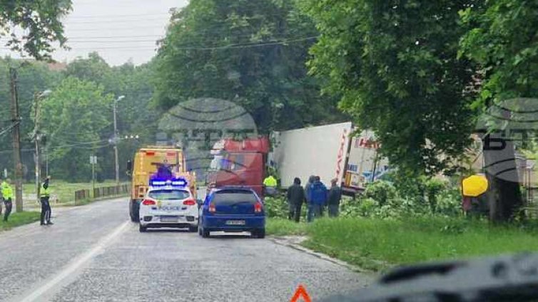 Тир счупи дърво и бетонен стълб в село Баница