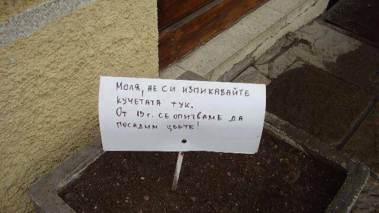 Отново за кучетата и хората