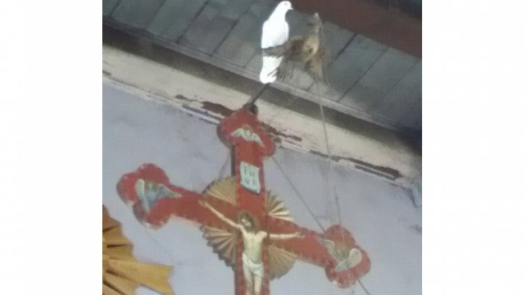 Чудо в църква - бял гълъб кацна на кръста в олтара