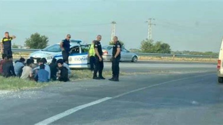 Заловиха 16 нелегални мигранти в борова гора
