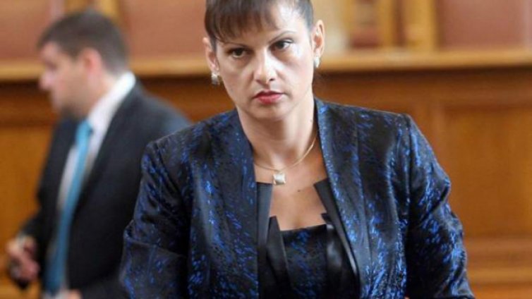 Д-р Дариткова внесе проекта за нова Конституция