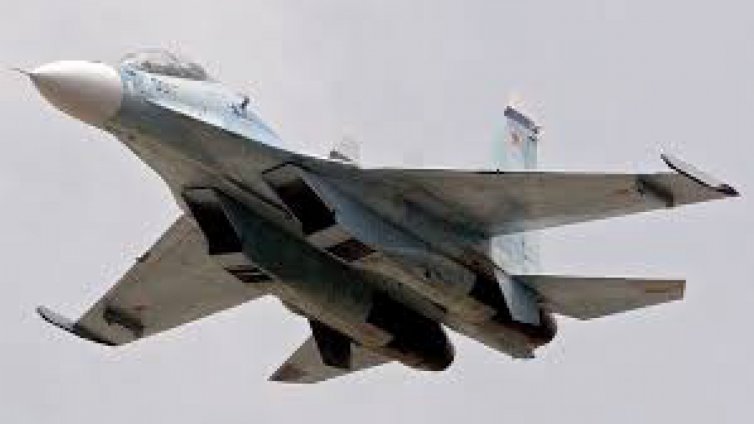  Птица е причинила катастрофата на Су-30 СМ