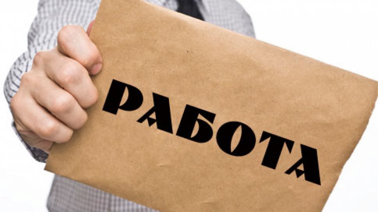 Европейската професионална карта ще се издава по електронен път и в България