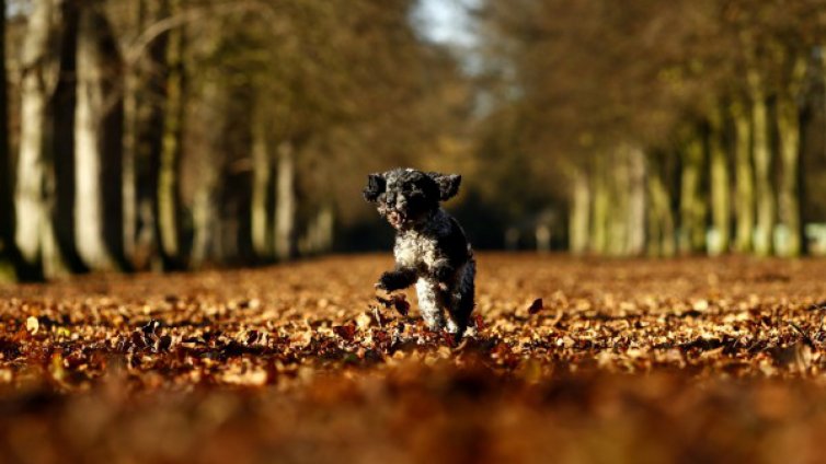 Уикендът започва с облаци и температури между 14°C и 19°C