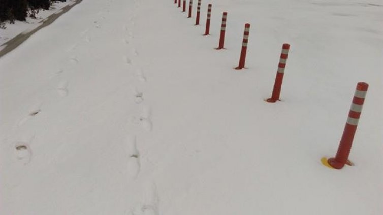 Очакват се обилни снеговалежи след Ивановден