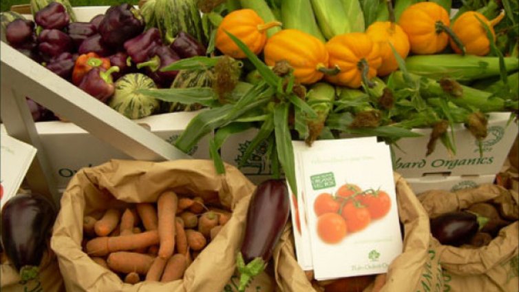 Вносът на биопродукти ще се сертифицира само по електронен път