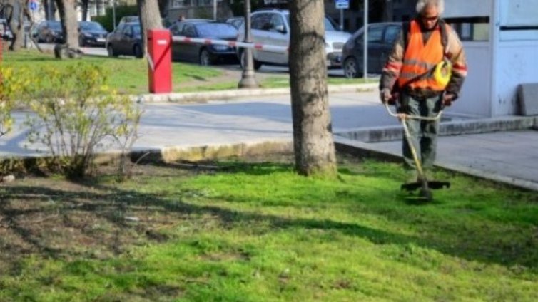 Район "Младост" във Варна е изправен пред критична ситуация за окосяването