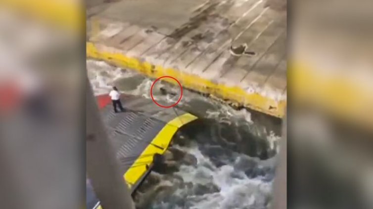 Моряци избутаха от кораба си закъснял пътник, той се удави
