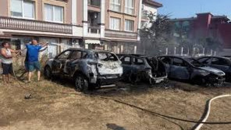 200 пожара са гасили огнеборците за последното денонощие