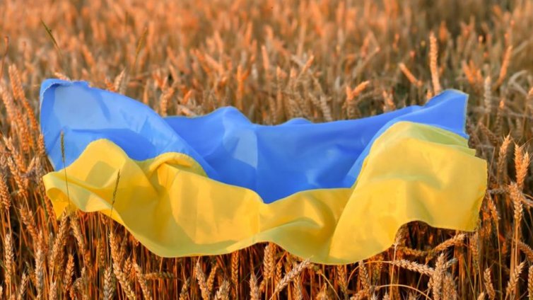 Киев ще съди 3 страни от ЕС за забраната да внасят украински селскостопански продукти