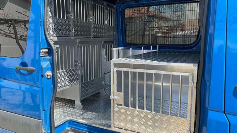 Задържаха 16 незаконни котки и кучета на "Дунав мост"