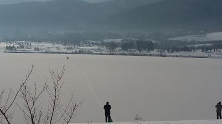 Мъж ходи по тънък лед в езеро, за да спаси лебед 