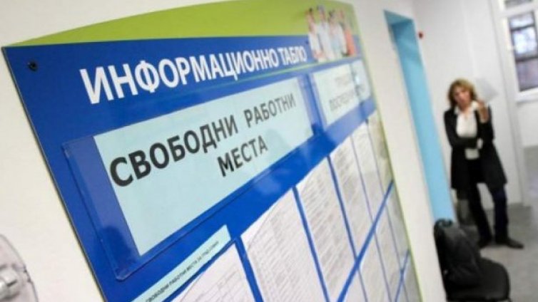 Варненска област е първа по коефициент на заетост