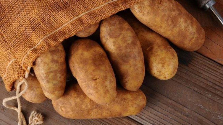 Картофи ще растат и на Луната