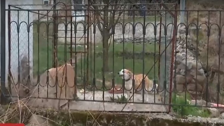 Мъж нападна съсед и бременната му жена заради кучето им (ВИДЕО)