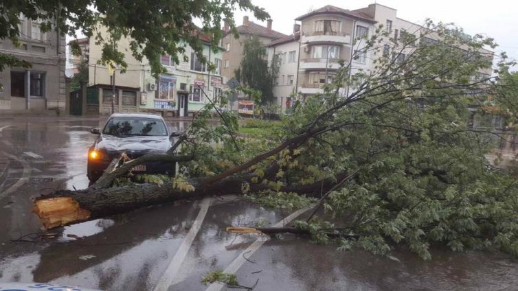 Три автомобила във Варна засегнати от ураганния вятър