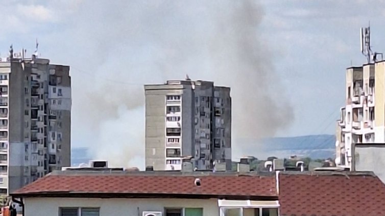 Пожар пламна в гората над "Владиславово"