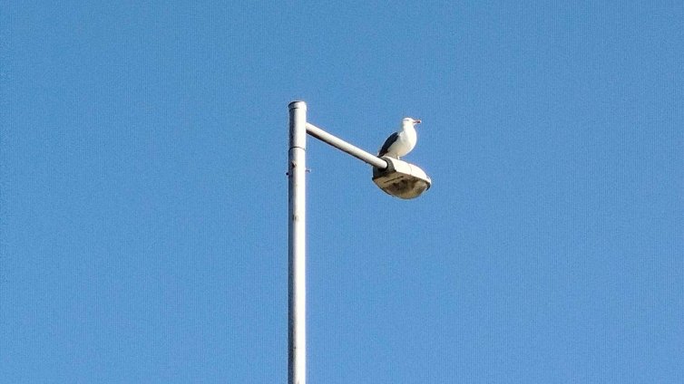 Слънчево и горещо време в цялата страна днес