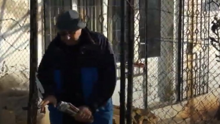 Умъртвиха куче с амониева селитра, природозащитници на протест