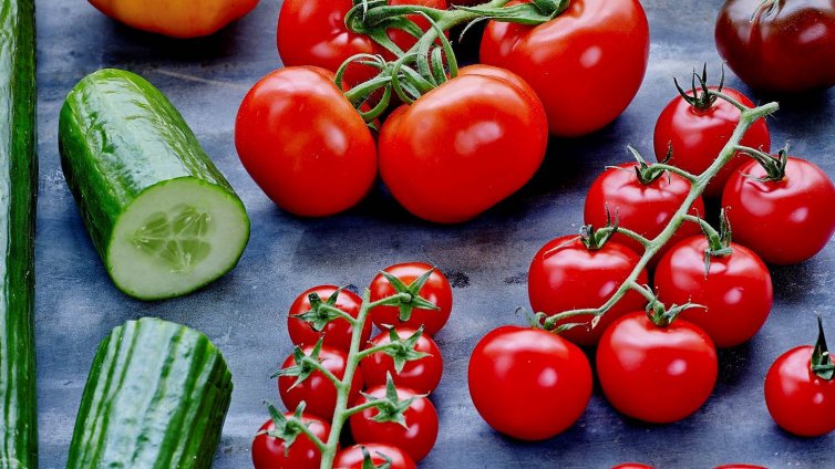 Оранжерии спират масово работа заради скъпия ток и газ