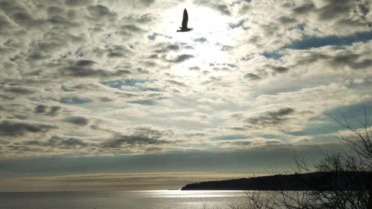 Топла неделя по морето