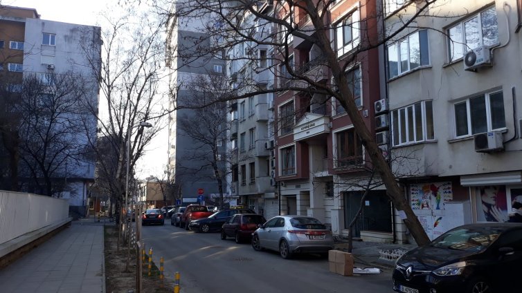Дърво заплашва минувачи на улица "Константин Величков" във Варна