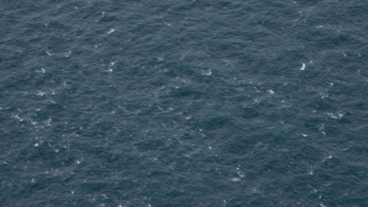 Унищожиха морска мина край Обзор