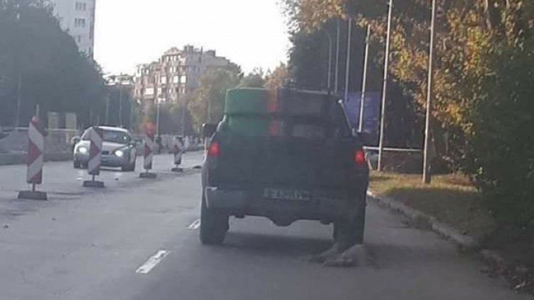 Очаква се реакция от МВР за влаченото с пикап куче във Варна