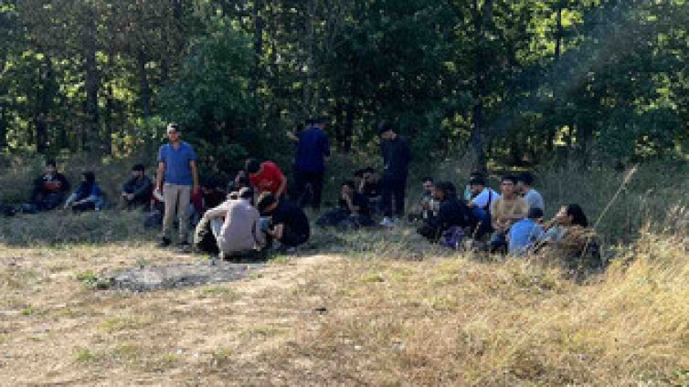 Заловиха поредната порция мигранти