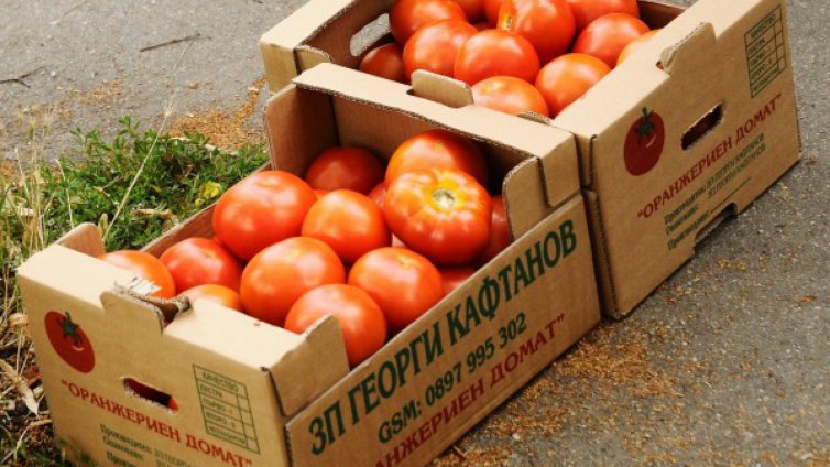 143 000 000 евро щети от руското ембарго за по-малко от година
