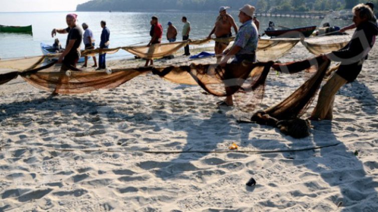 Година затвор и 15 хил. лв. глоба за бракониерство 