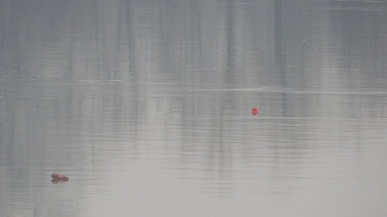 34-годишен мъж се удави в Дунав