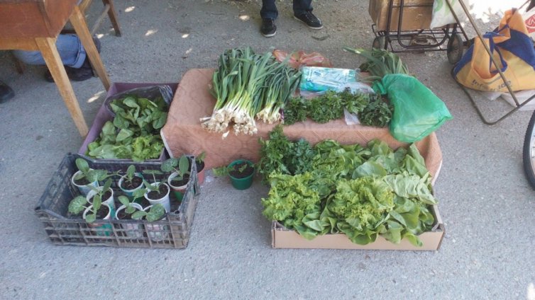 Определиха терените за земеделски пазари в Добричко