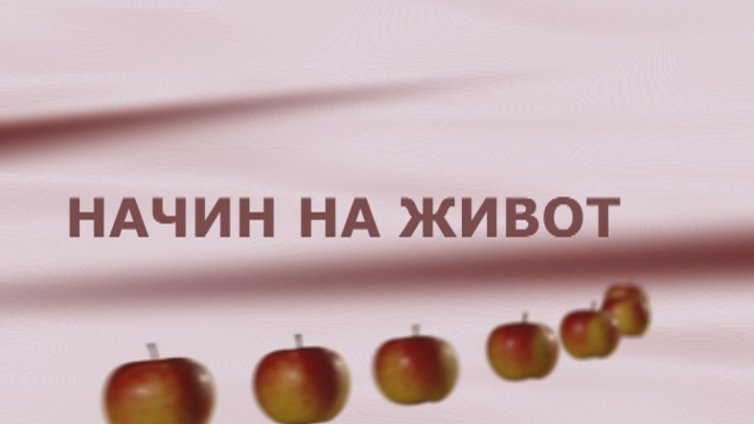 Начин на живот 4.01.2015- част 1