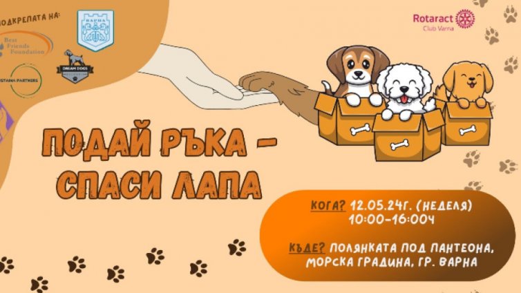 Стартира кампания за насърчаване на осиновяването на безстопанствени кучета във Варна