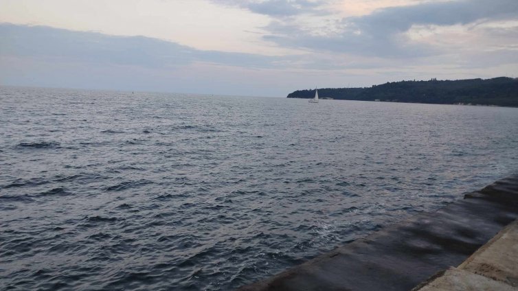 Започва прием на проекти за скрапиране на риболовни кораби