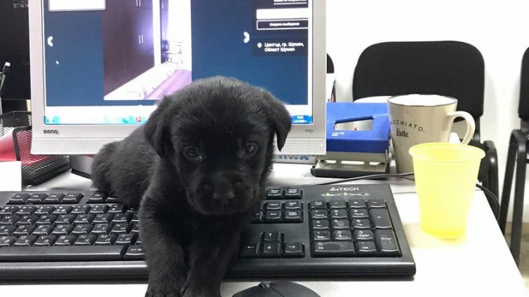 От 29-и, нови промени в онлайн обучението. Вижте какво измисли МОН