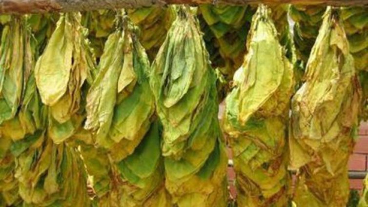 Пада забраната за продажба на цигарени гилзи
