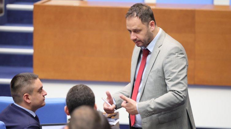 Петър Витанов за Киевската декларация: Нормално е дипломацията да е многопластова
